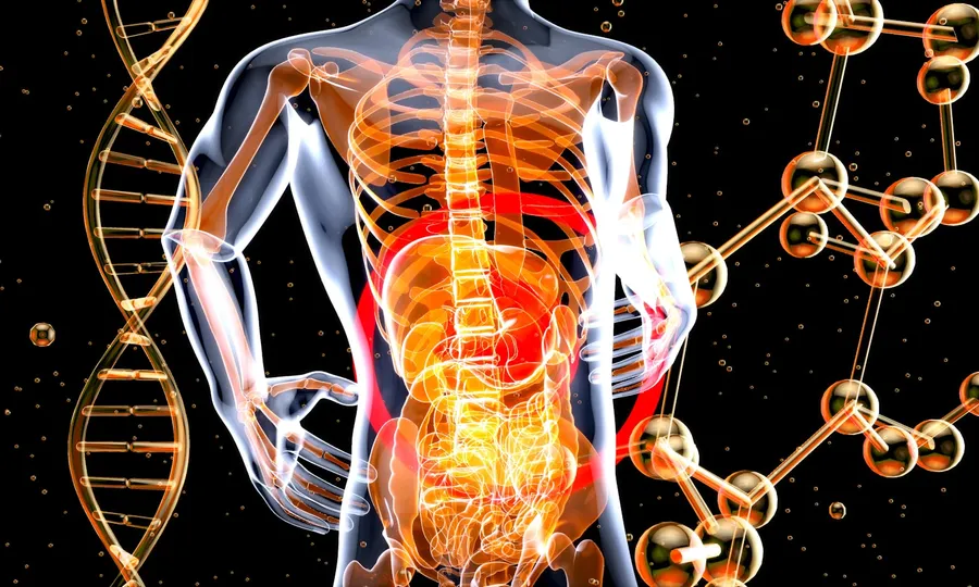 Recherche et immunologie